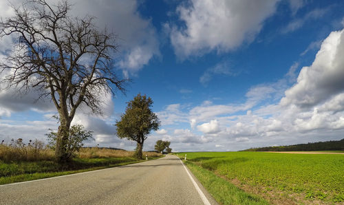 Road by trees on field against sky