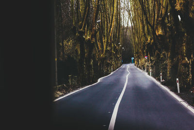 Empty road along trees in forest