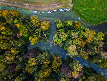 High angle view of road amidst trees