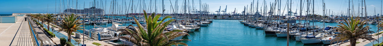 Sailboats moored in harbor