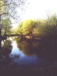 Reflection of trees in lake