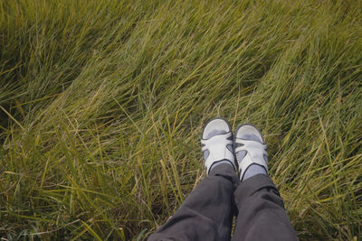 Low section of man standing on grass