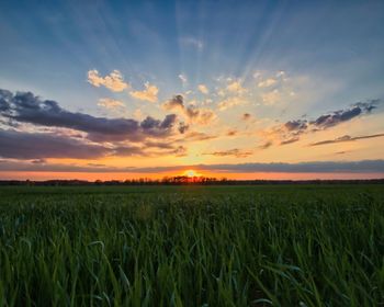 Scenic view of field against sky during sunset