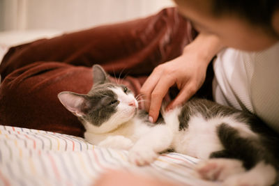 Cat relaxing on bed at home