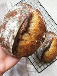 Close-up of hand holding bread on table