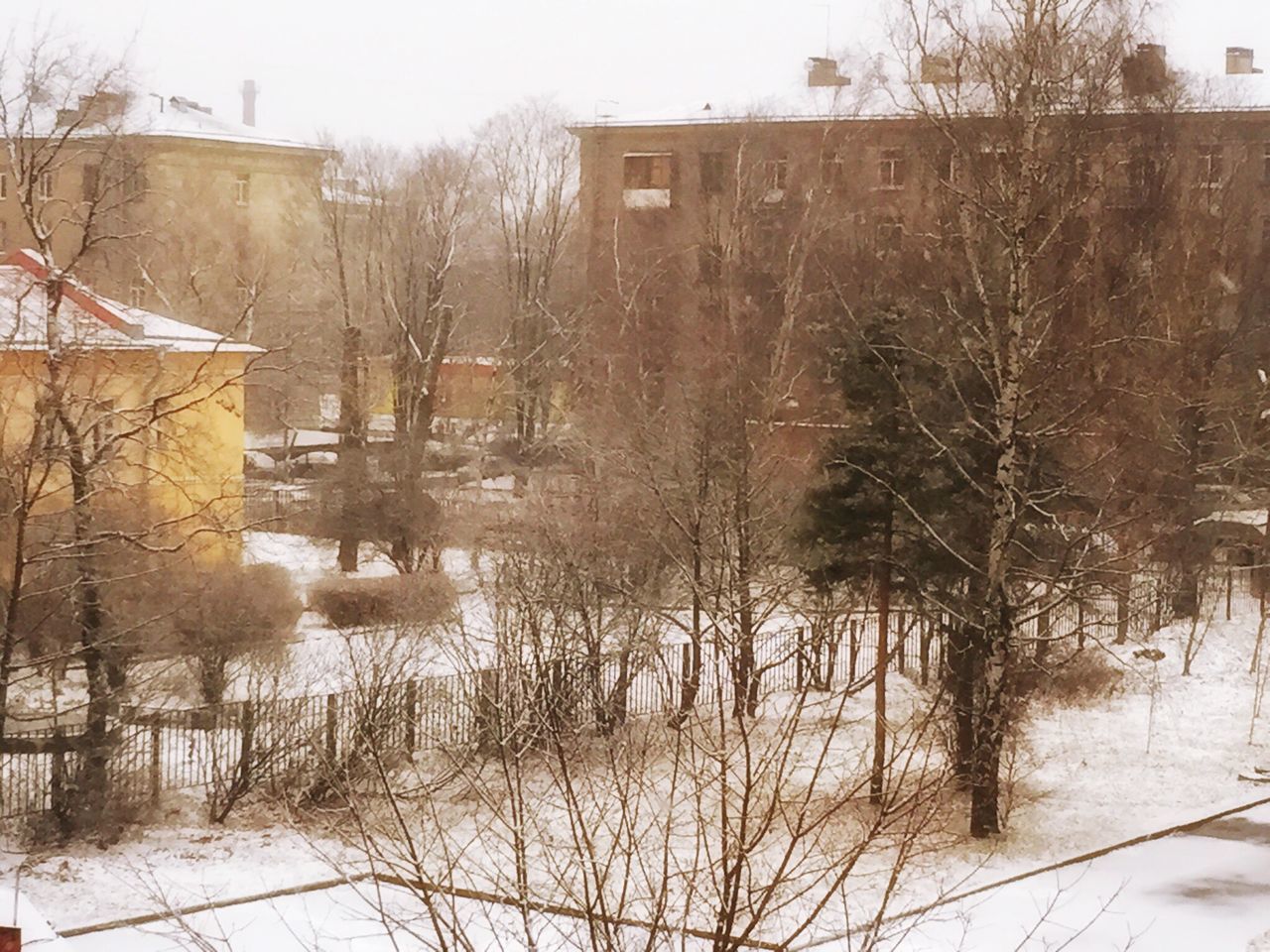 building exterior, built structure, architecture, winter, cold temperature, snow, tree, water, reflection, season, bare tree, weather, lake, house, nature, tranquility, day, frozen, outdoors, field