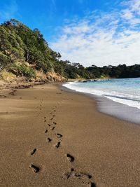 Scenic view of beach against sky