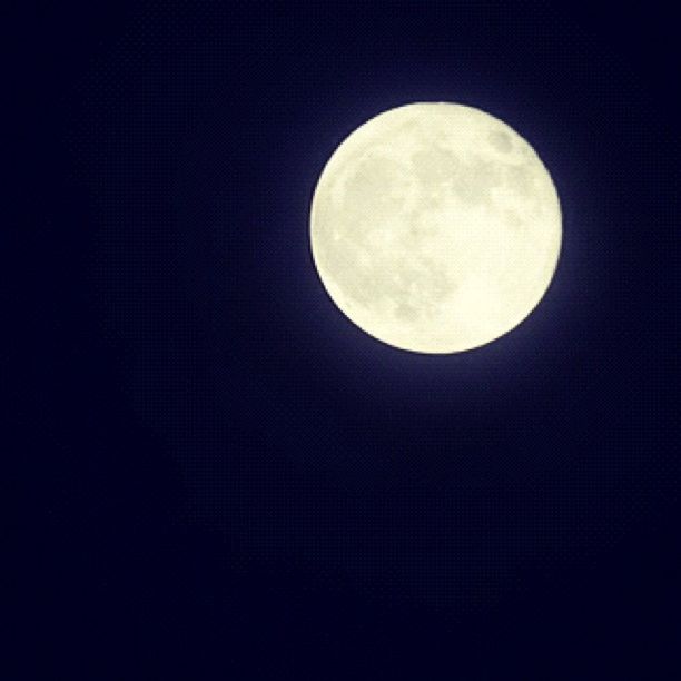 moon, astronomy, night, full moon, low angle view, circle, planetary moon, sky, sphere, space exploration, moon surface, beauty in nature, nature, copy space, discovery, dark, scenics, tranquility, geometric shape, moonlight