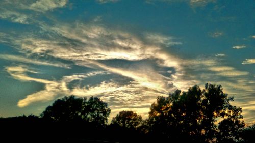 Low angle view of silhouette trees against sky