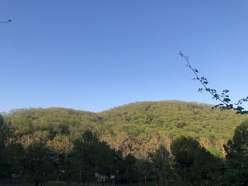 nature