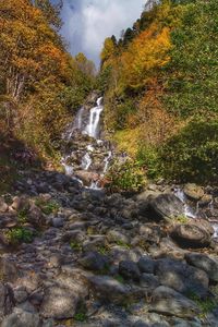 View of waterfall in forest