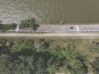 High angle view of trees on field