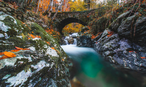 Stream flowing through rocks in forest