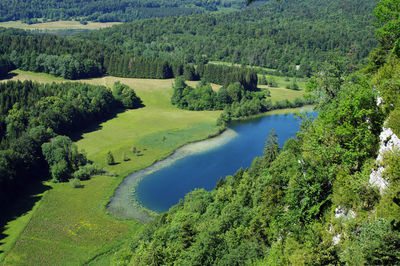 High angle view of lake amidst trees