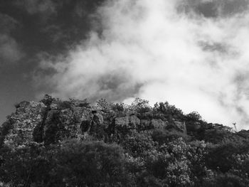 Low angle view of trees against cloudy sky