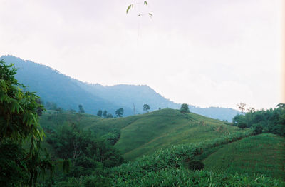 Scenic view of agricultural landscape against sky