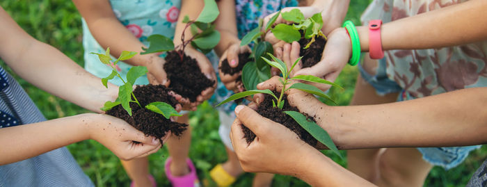 Hands of friends holding plant