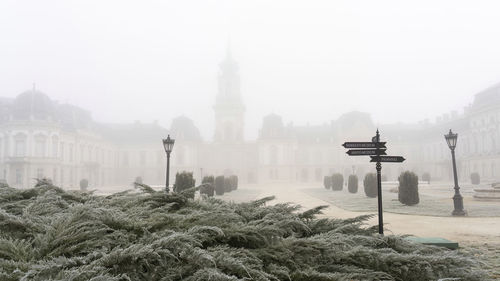 fog