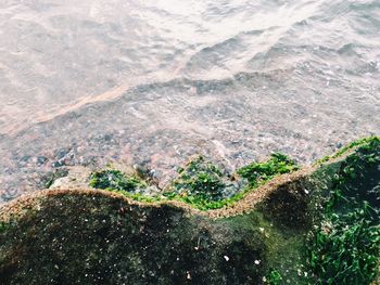 High angle view of sea and mountains