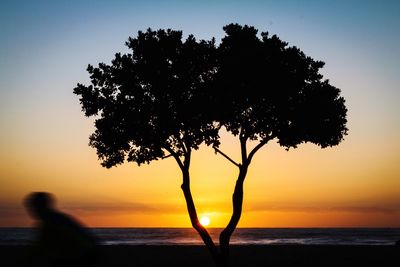 Silhouette tree against sea at sunset