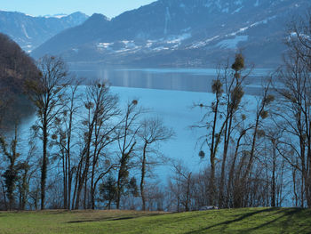 Scenic view of lake by trees against sky