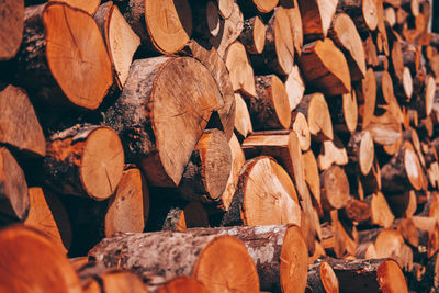 Full frame shot of logs in forest