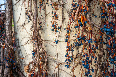 Full frame shot of multi colored umbrellas hanging on wall