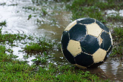 Close-up of soccer ball on grass by lake