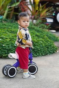 Portrait of cute boy looking away while riding tricycle