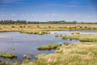 Scenic view of lake against sky