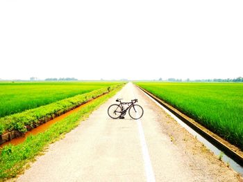 Country road passing through field