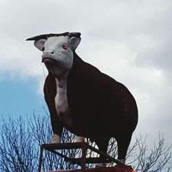 Low angle view of bird perching on tree against sky