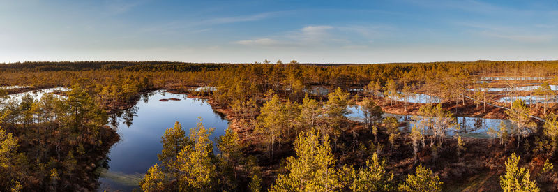Scenic view of lake in forest against sky