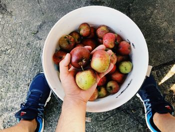 High angle view of person holding fruits