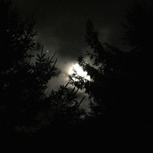 Low angle view of silhouette trees against sky at night