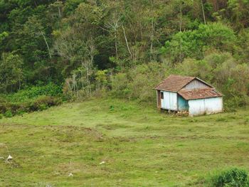 Barn on field against trees in forest