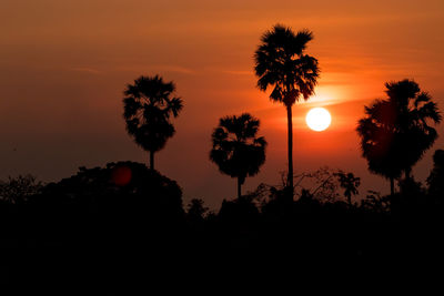 Low angle view of silhouette trees against orange sky