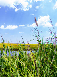 Scenic view of landscape against cloudy sky