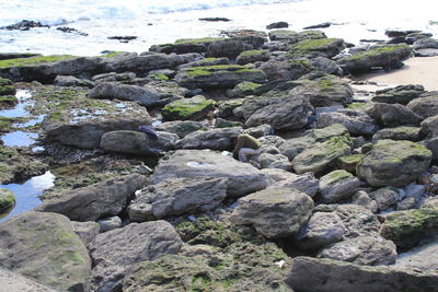 Close-up of rocks by sea