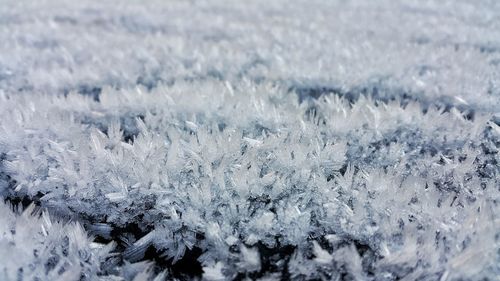 Close-up of snow against sky