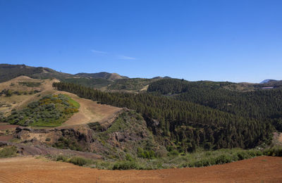 Landscape of lomo del palo in gran canaria