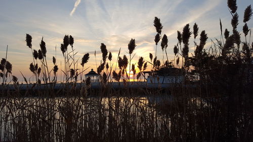 Scenic view of lake at sunset