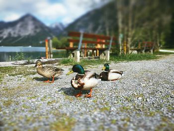 Surface level of water