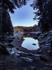 Scenic view of lake in forest against clear sky