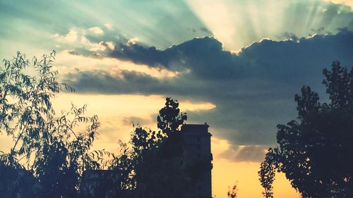 Low angle view of silhouette trees against sky