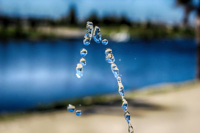 Close-up of water drop on leaf