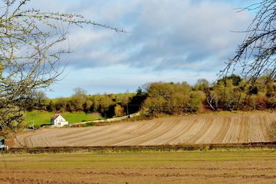 Scenic view of agricultural field against sky