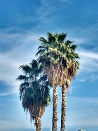 Low angle view of palm trees against blue sky