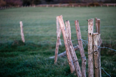 Close-up of wooden post on field