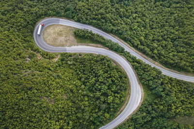 High angle view of road amidst trees in forest